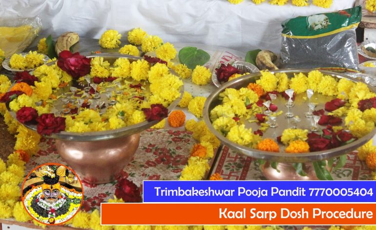 Trimbakeshwar Puja Vidhi - Kaal Sarp Dosh Procedure