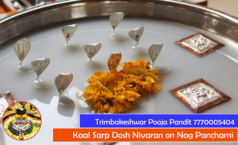 Kaal Sarp Dosh Nivaran on Nag Panchami - Contact 07770005404