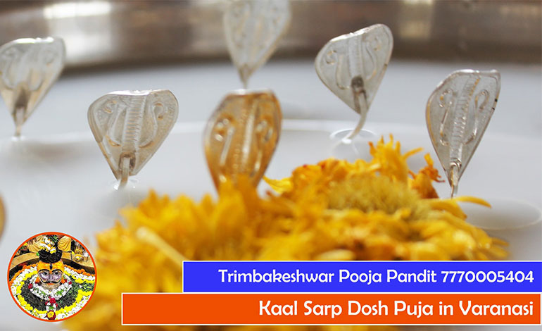 Kaal Sarp Dosh Puja in Varanasi - Call Shivang Guruji 7770005404