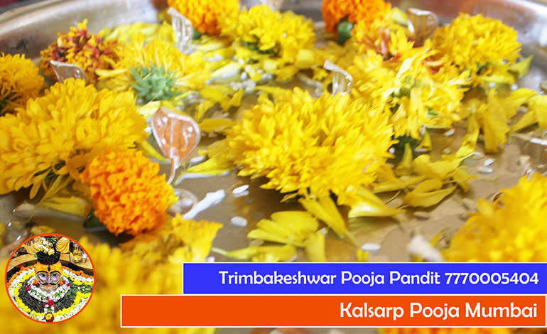 Kalsarp Pooja Mumbai - Trimbakeshwar Puja Vidhi - 7770005404