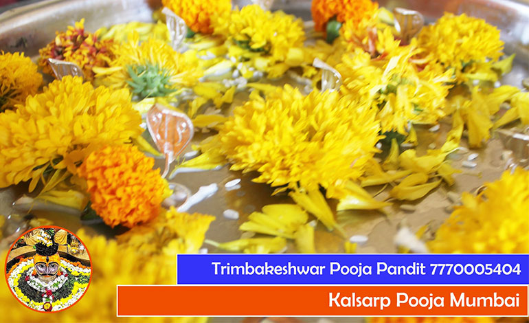 Kalsarp Pooja Mumbai