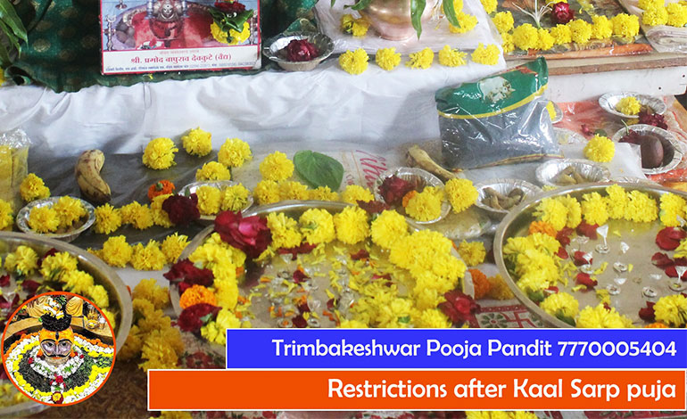 Restrictions after Kaal Sarp puja - Contact - +91 7770005404
