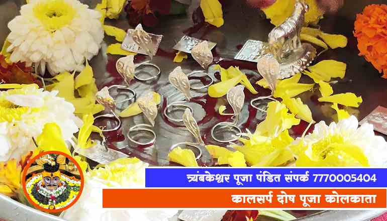 कालसर्प दोष पूजा कोलकाता