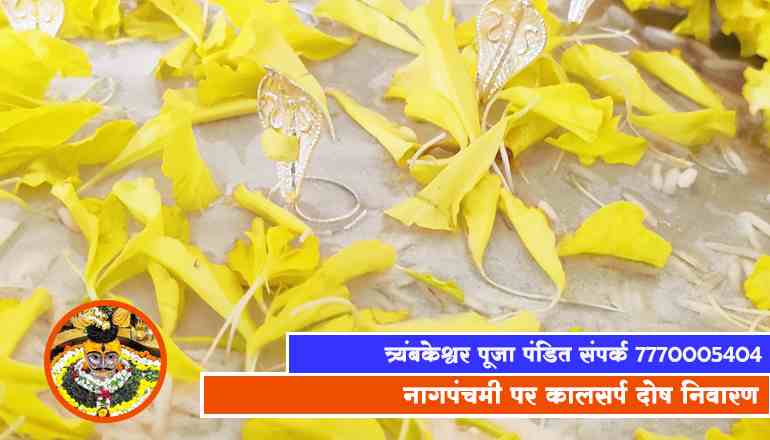 नागपंचमी पर कालसर्प दोष निवारण