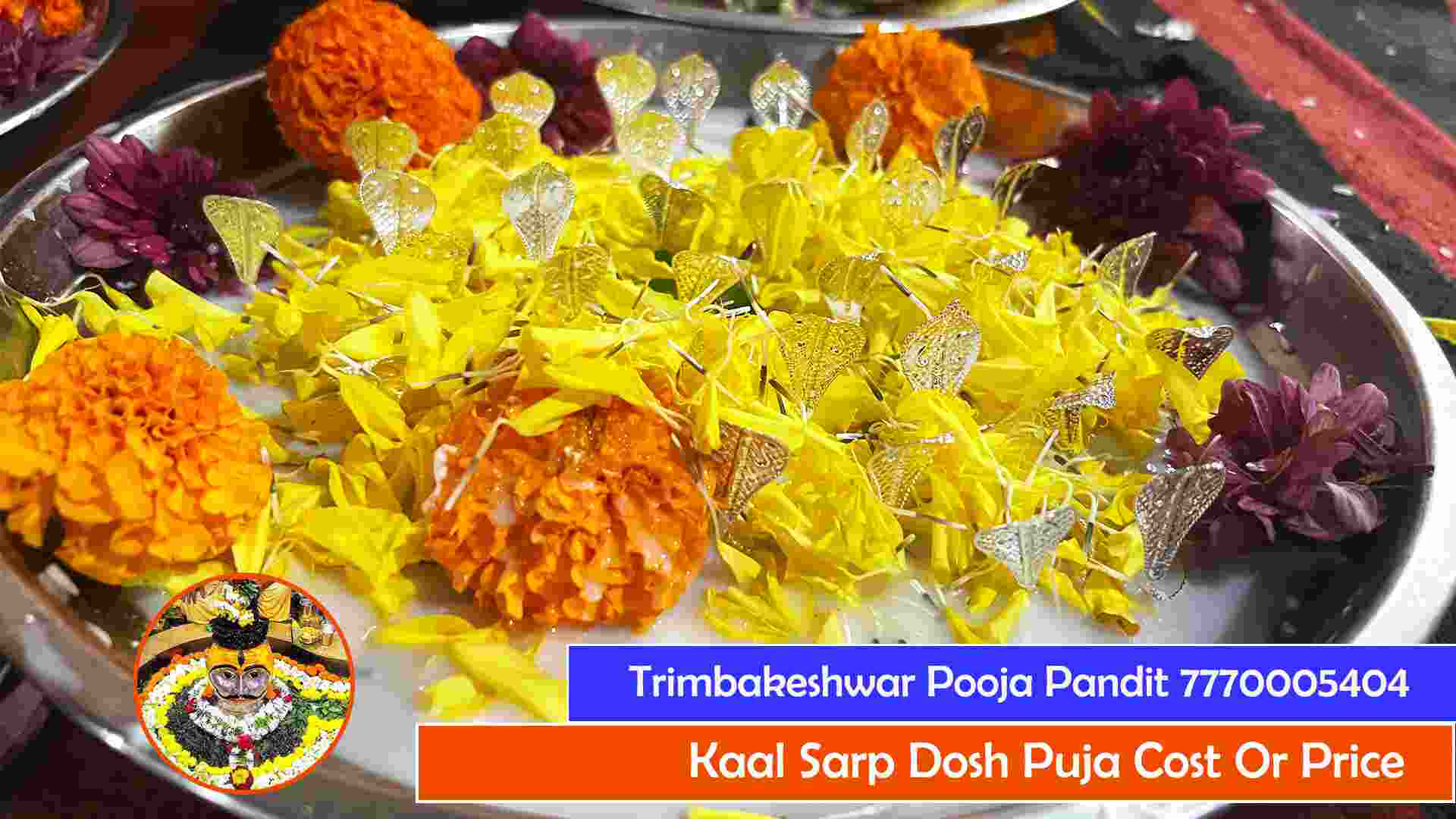 Kaal Sarp Dosh Puja Cost Or Price