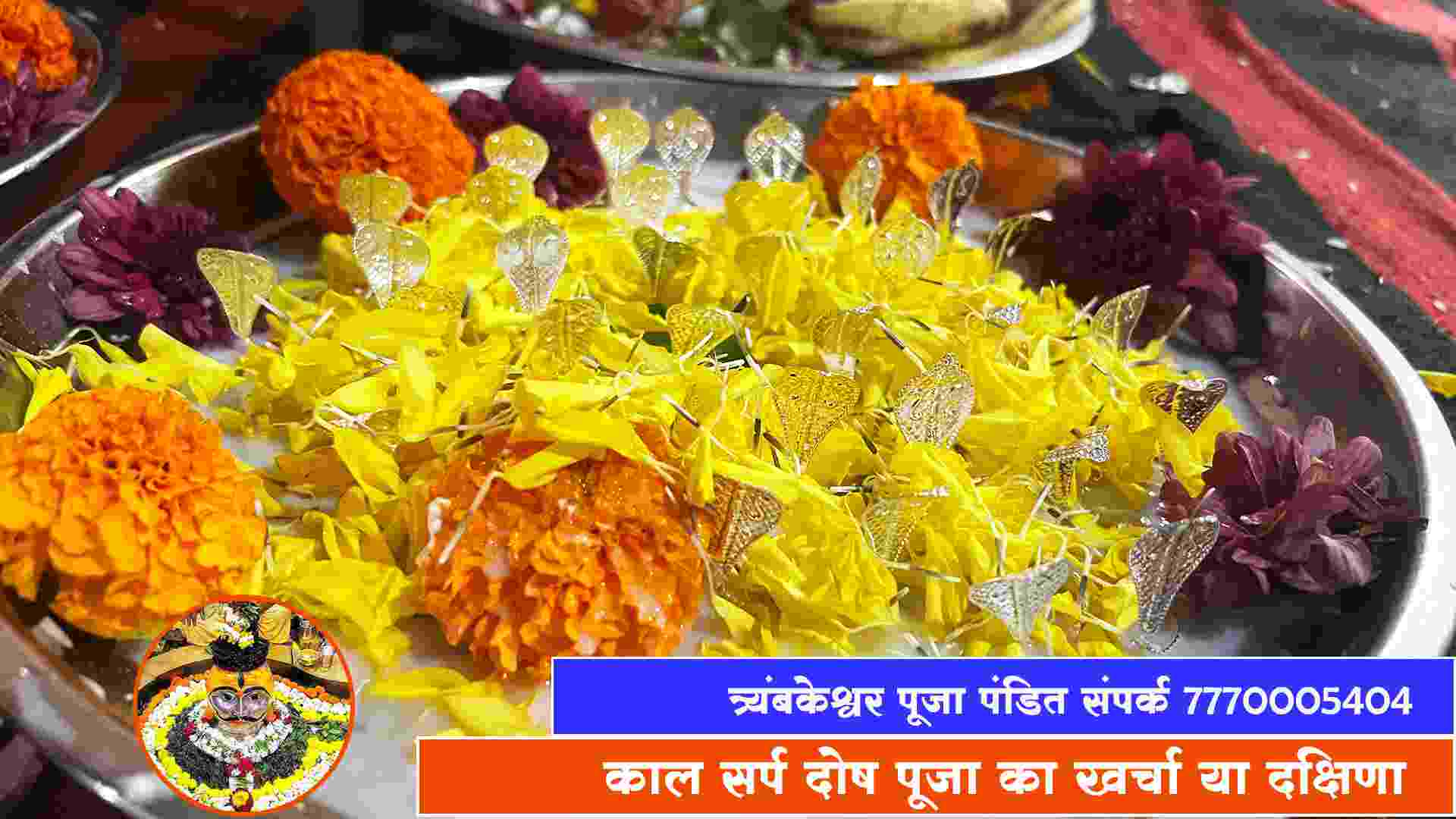 काल सर्प दोष पूजा का खर्चा या दक्षिणा