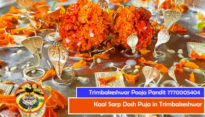 Kaal Sarp Dosh Puja In Trimbakeshwar